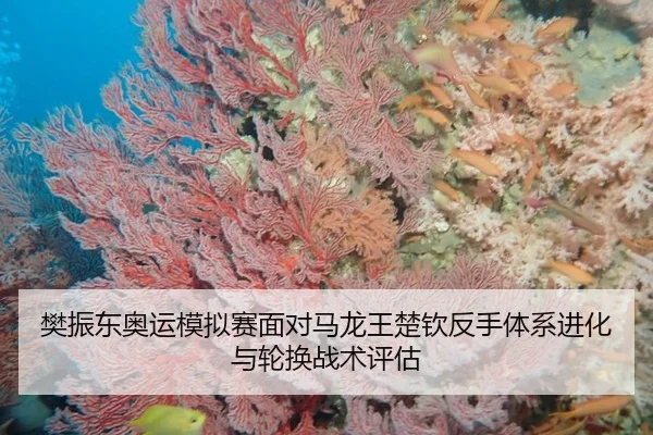 樊振东奥运模拟赛面对马龙王楚钦反手体系进化与轮换战术评估