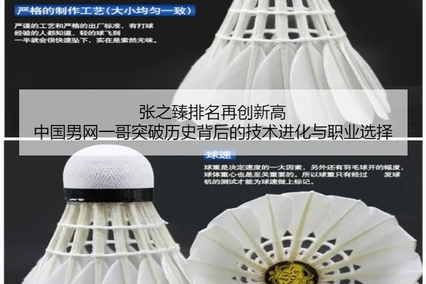 zhang-zhi-zhen-pai-ming-zai-chuang-xin-gao-zhong-guo-nan-wang-yi-ge-tu-po-li-shi-bei-hou-de-ji-shu-jin-hua-yu-zhi-ye-3-182.jpg
